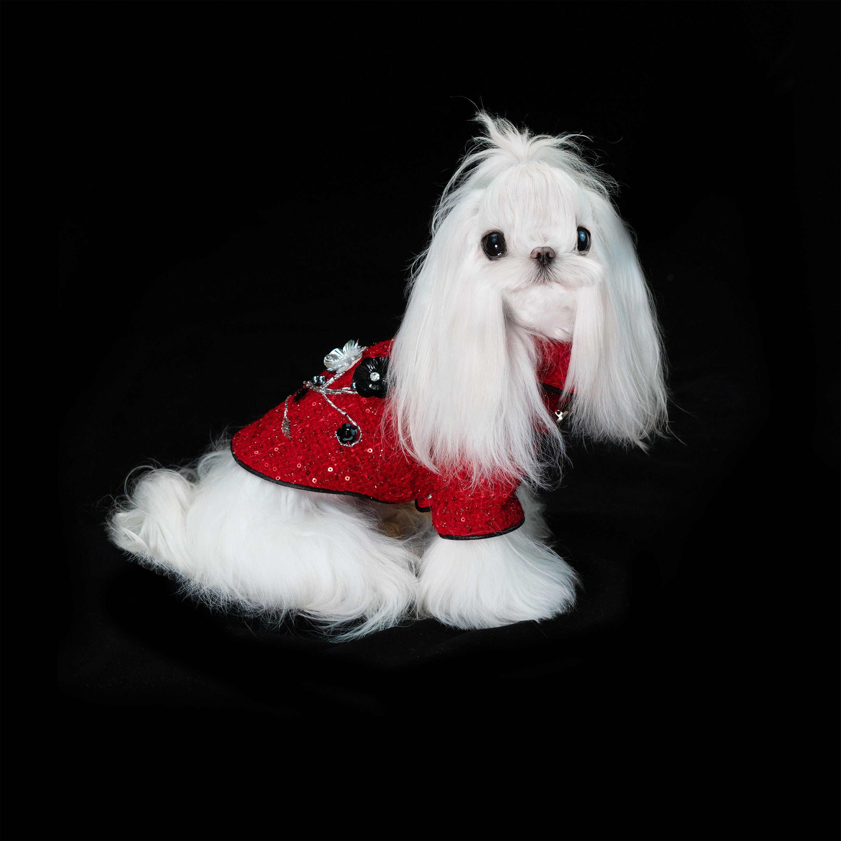 Gilded Paw Paw The Little Prince Pet Coat