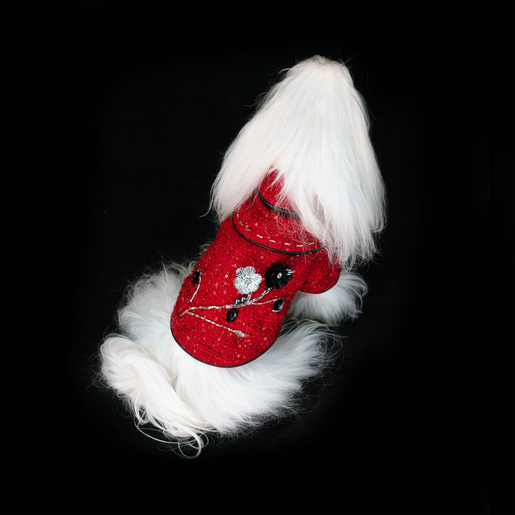 Gilded Paw Paw The Little Prince Pet Coat