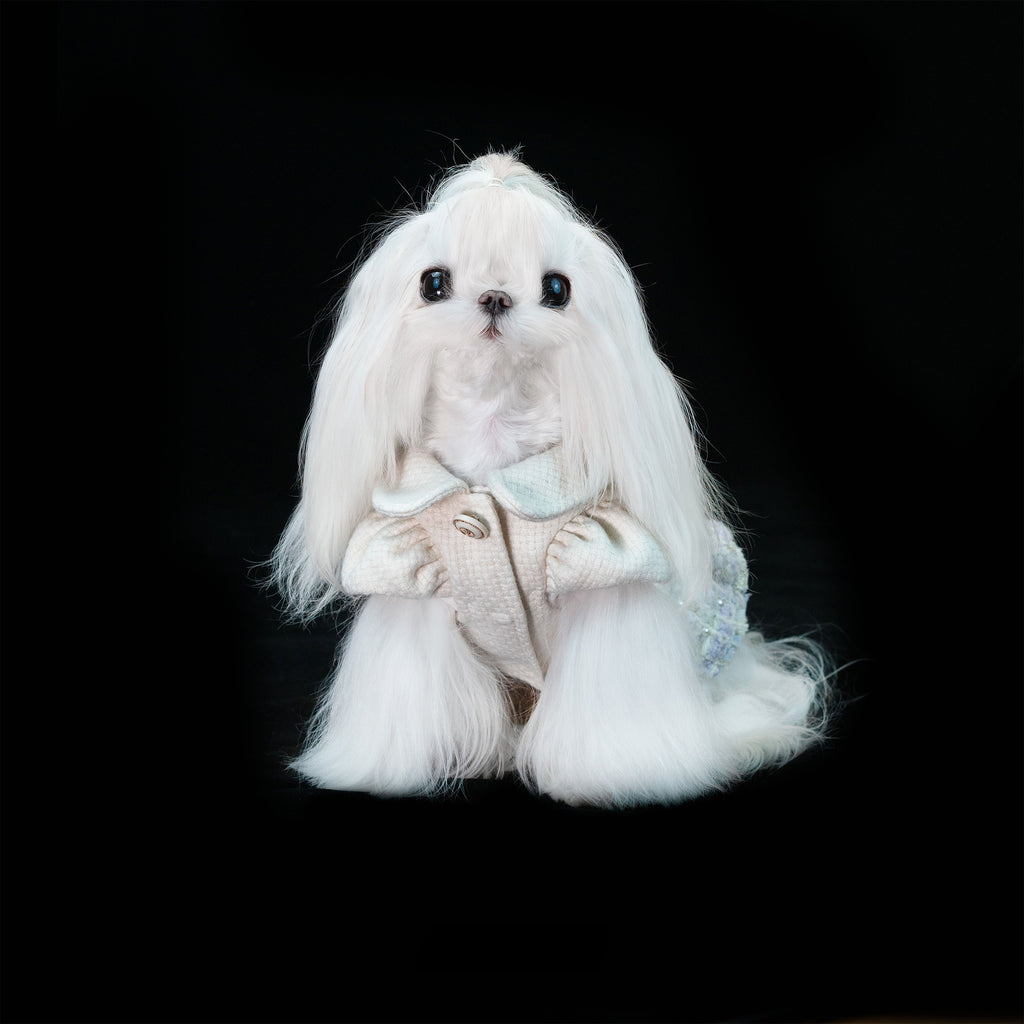 Gilded Paw Paw Modern Times • Laurel Pet Dress