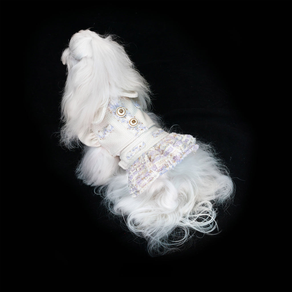 Gilded Paw Paw Modern Times • Laurel Pet Dress