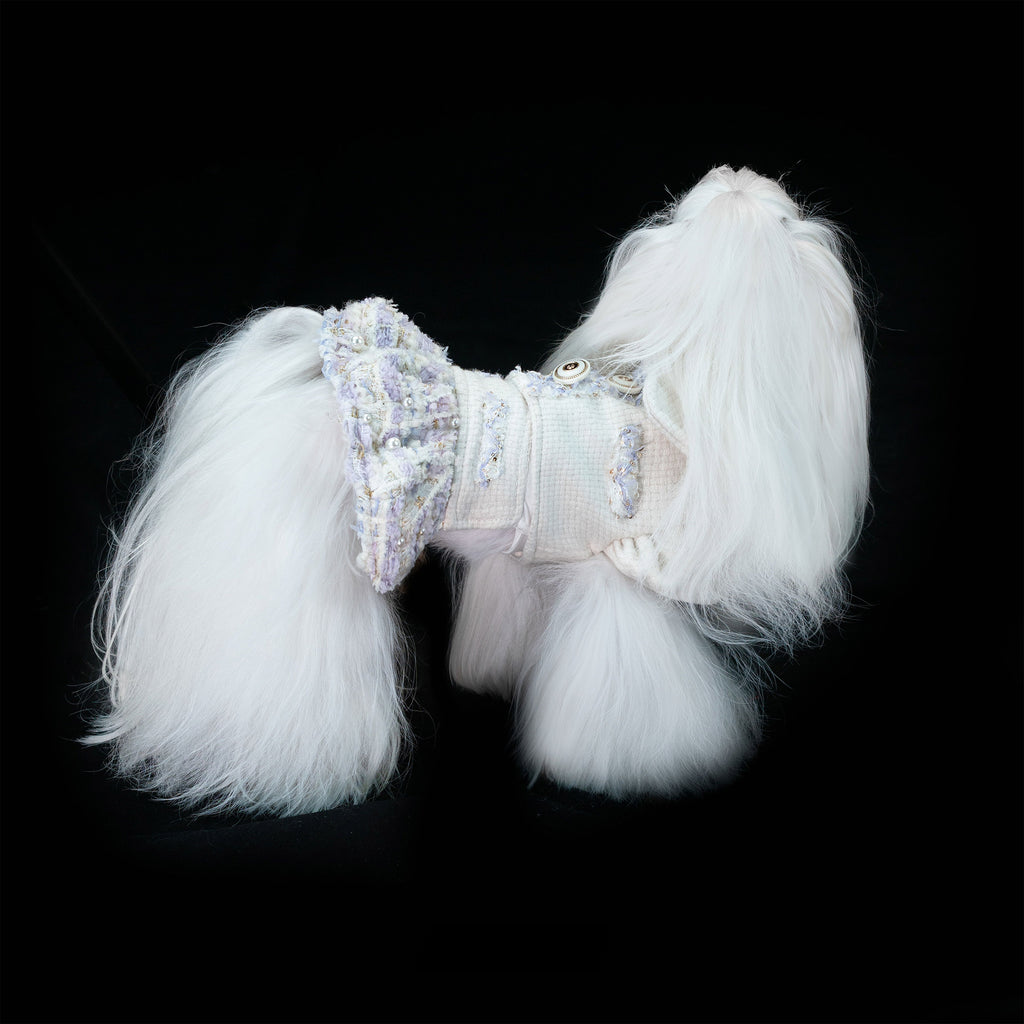 Gilded Paw Paw Modern Times • Laurel Pet Dress