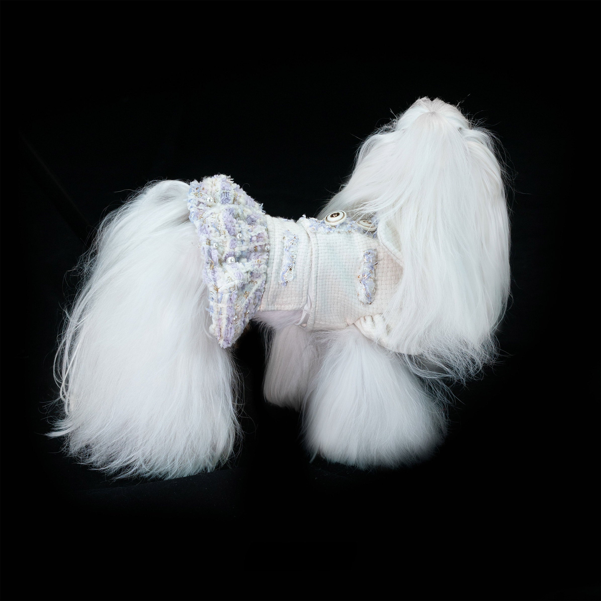 Gilded Paw Paw Modern Times • Laurel Pet Dress