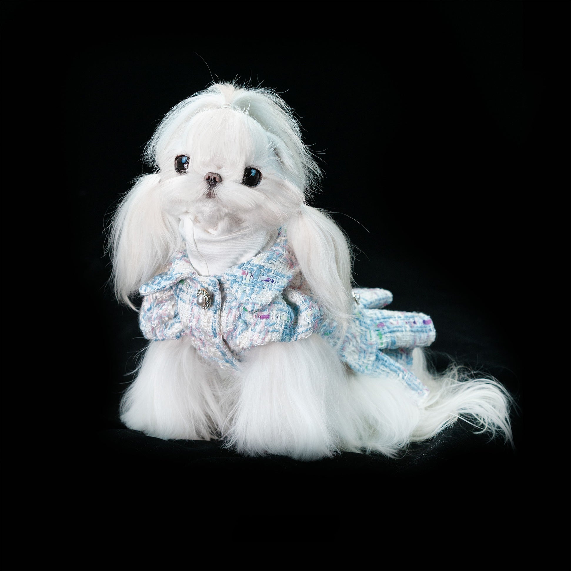 Gilded Paw Paw Modern Times • Silhouette Pet Dress