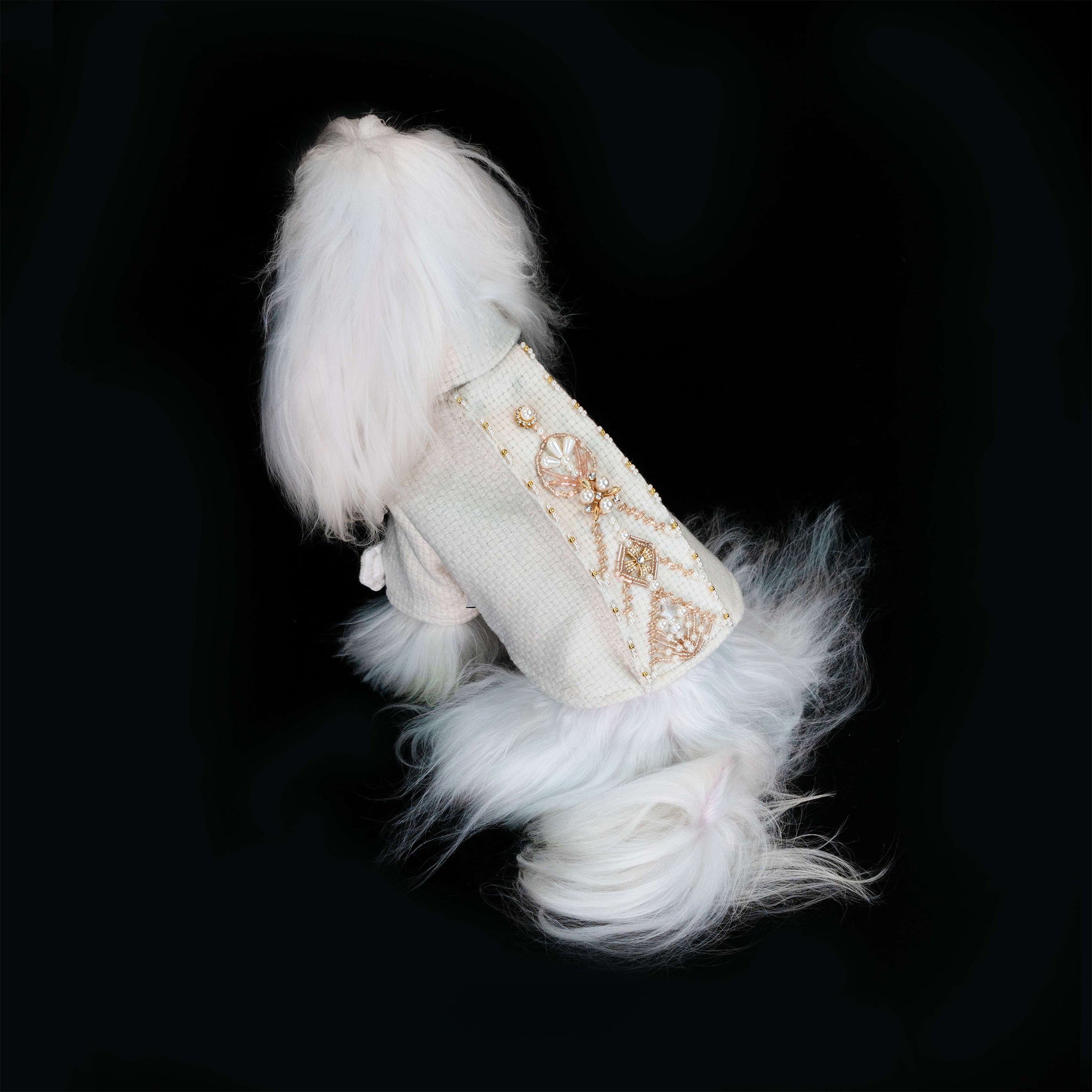 Gilded Paw Paw Victor Pet Coat