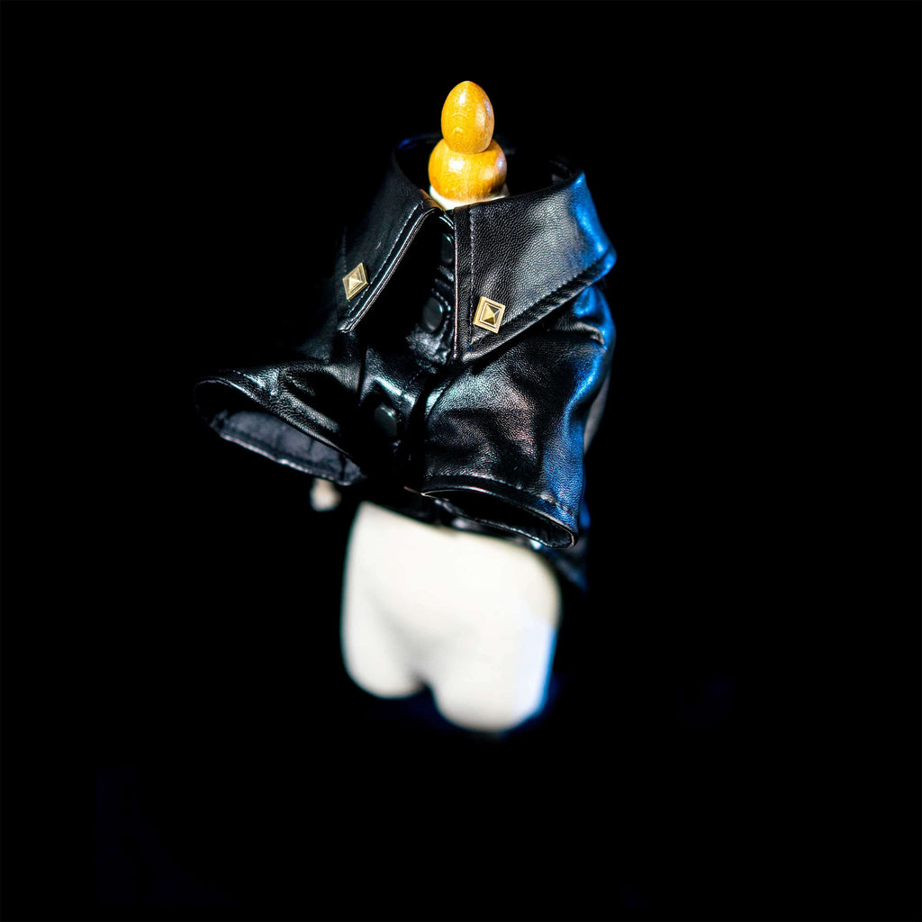 Gilded Paw Paw Horizon Pet Coat