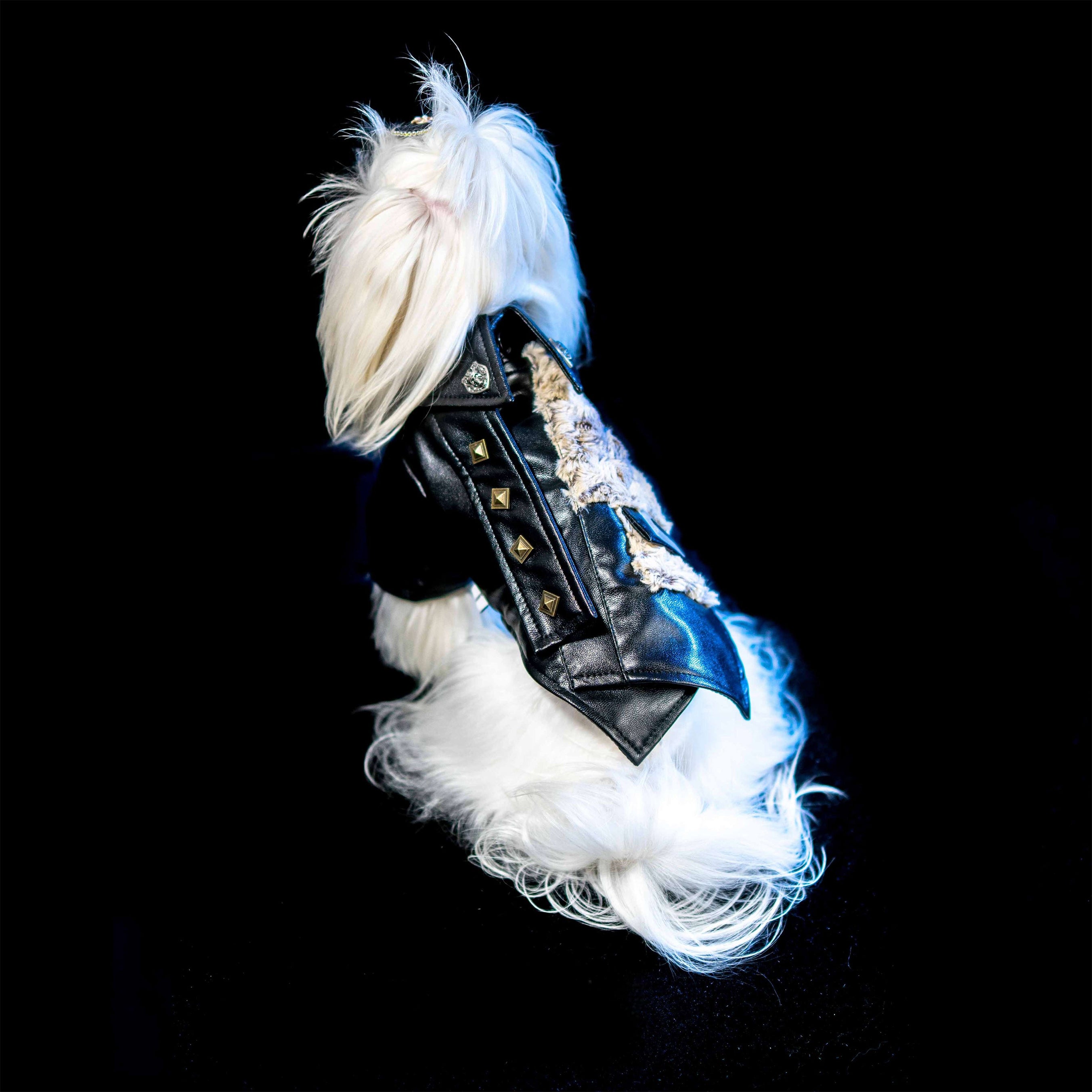 Gilded Paw Paw Horizon Pet Coat