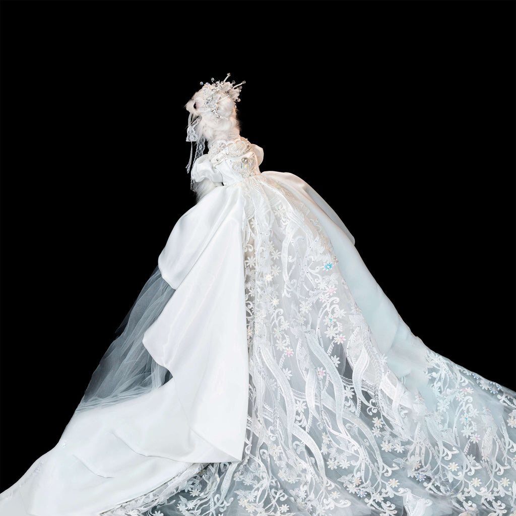 Gilded Paw Paw Encounter Pet Dress