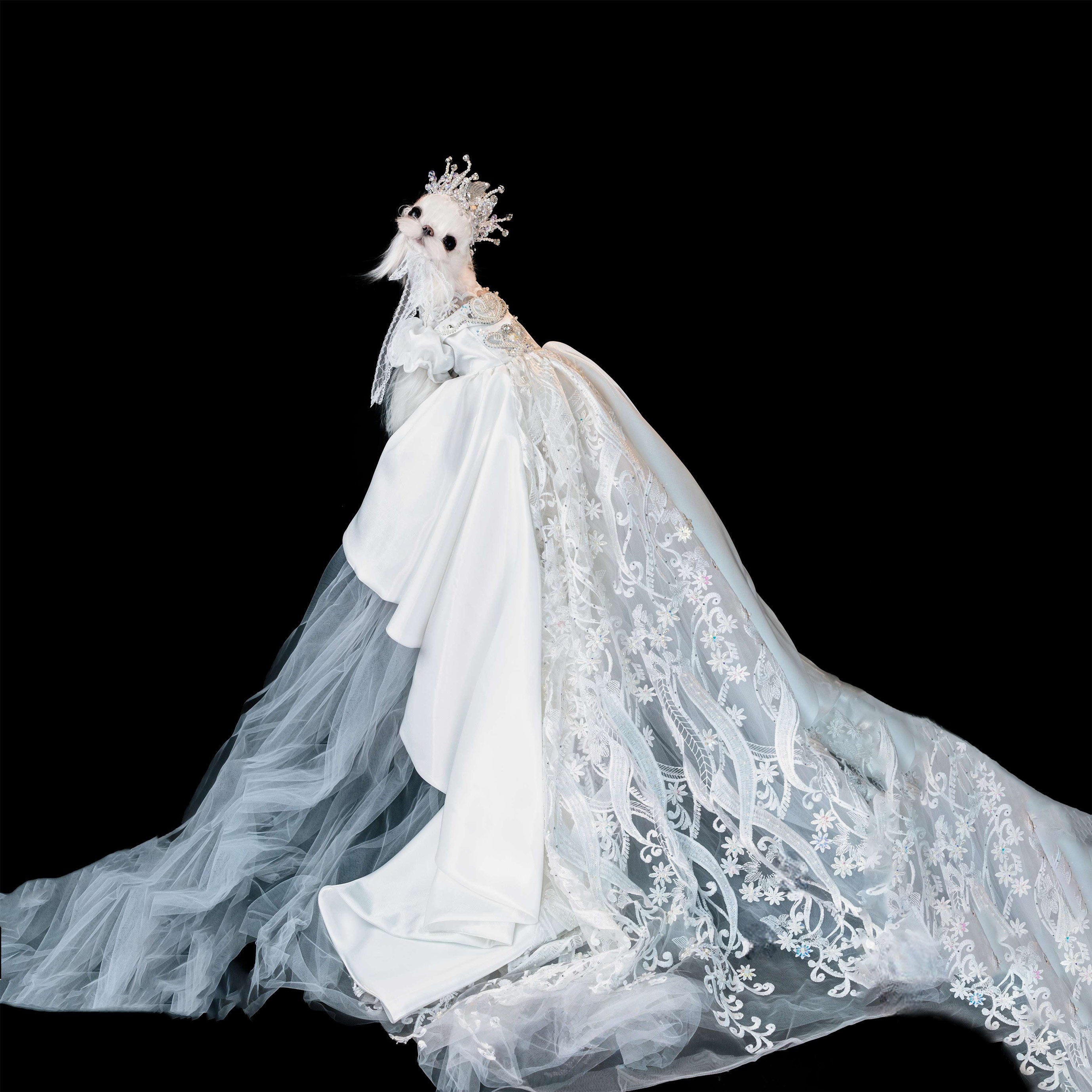 Gilded Paw Paw Encounter Pet Dress