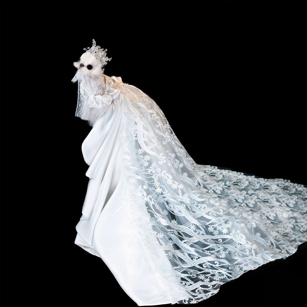 Gilded Paw Paw Encounter Pet Dress