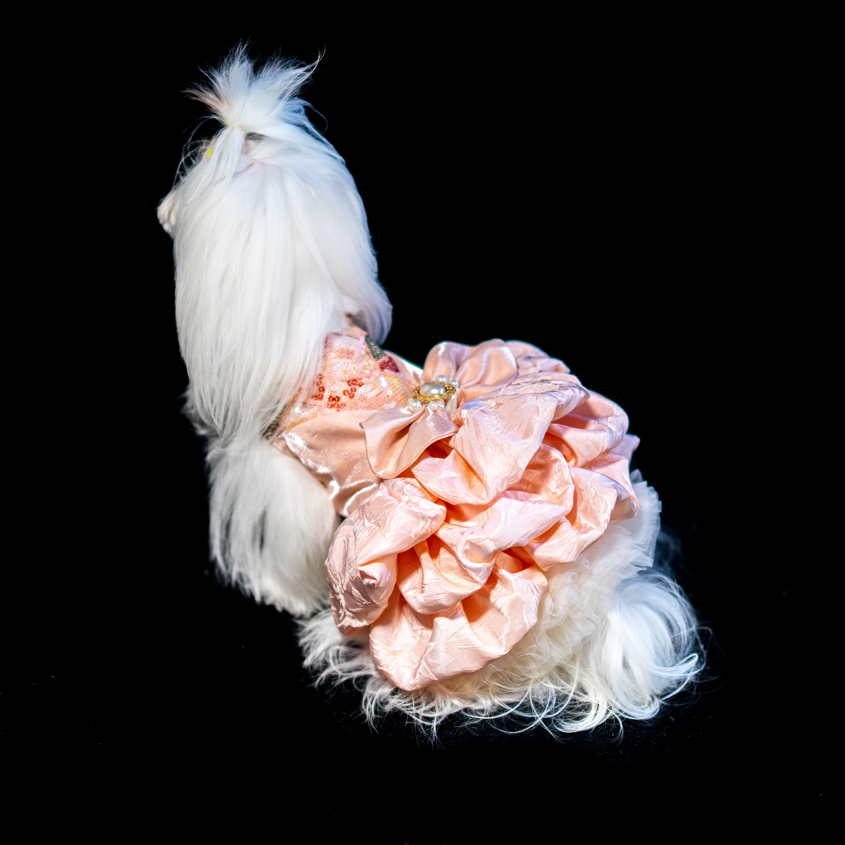 Gilded Paw Paw Julie Pet Dress