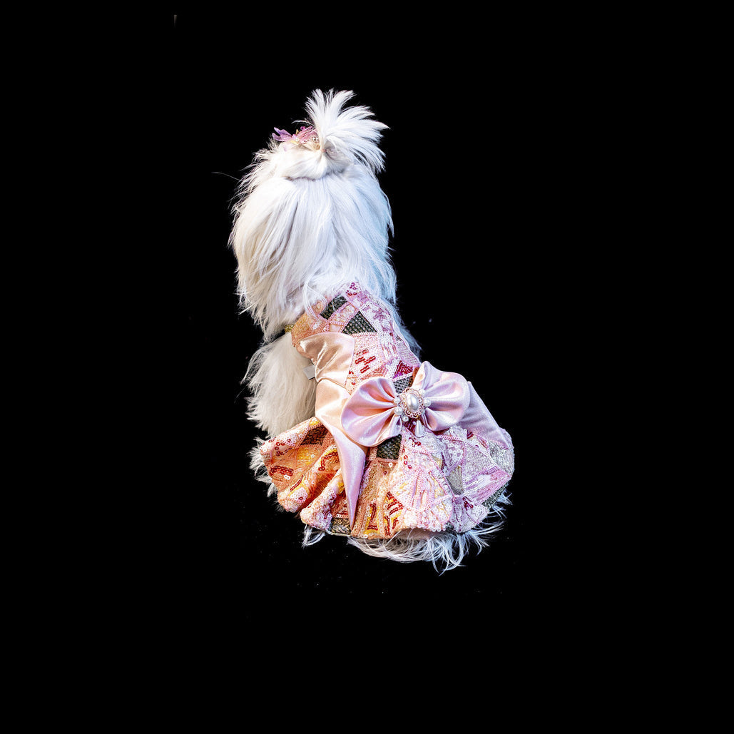 Gilded Paw Paw Myriad Crystal Pet Dress