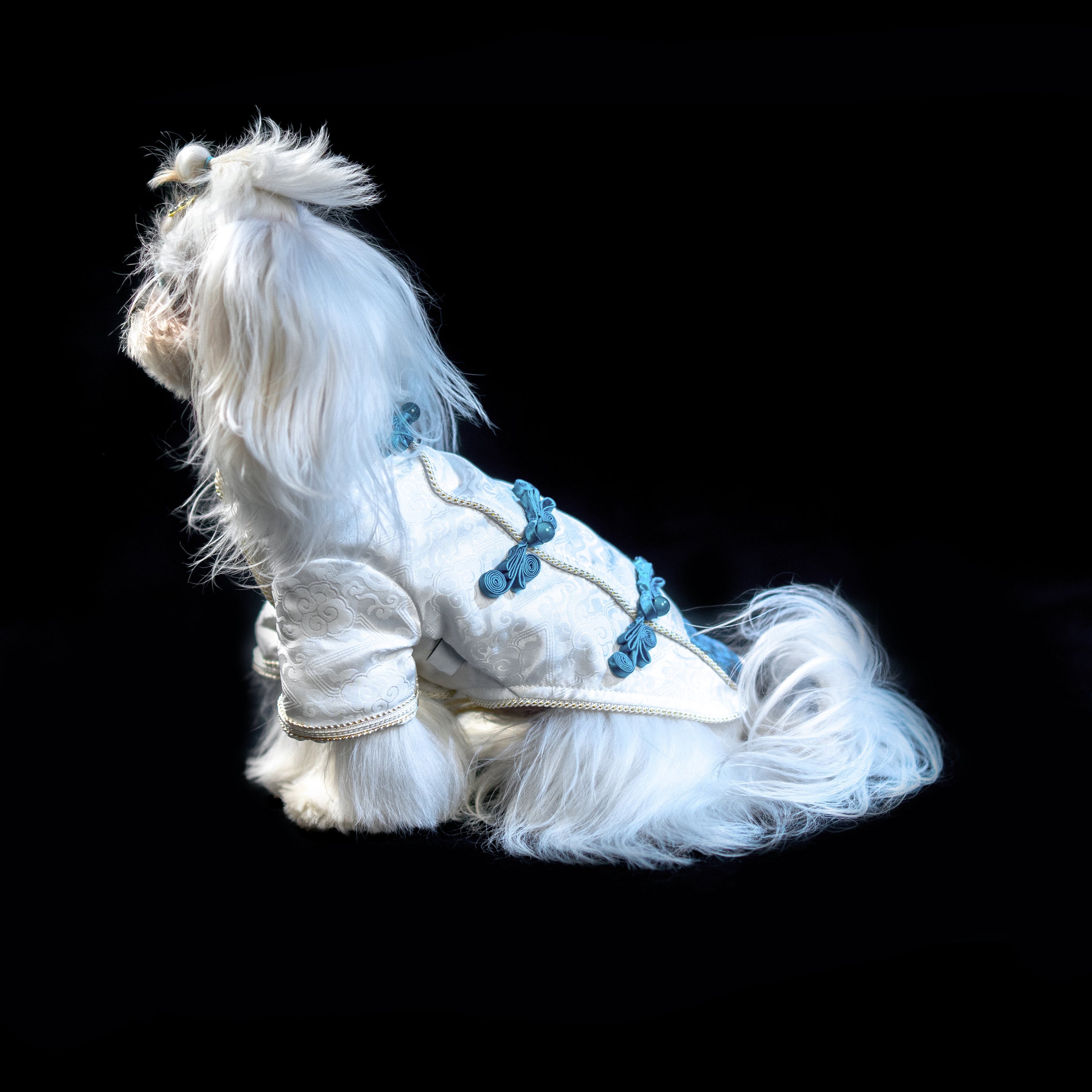 Gilded Paw Paw Moon Pet Shirt