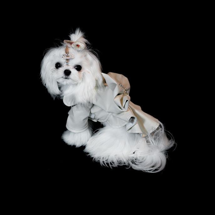 Gilded Paw Paw Akoya Pearl Pet Dress